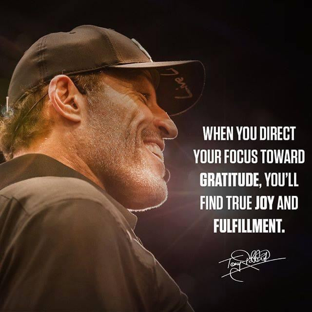 When you direct your focus toward gratitude, you will find true joy and fulfilment