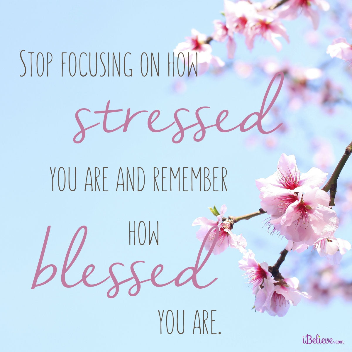 Stop focusing on how stressed you are and remember how blessed you are