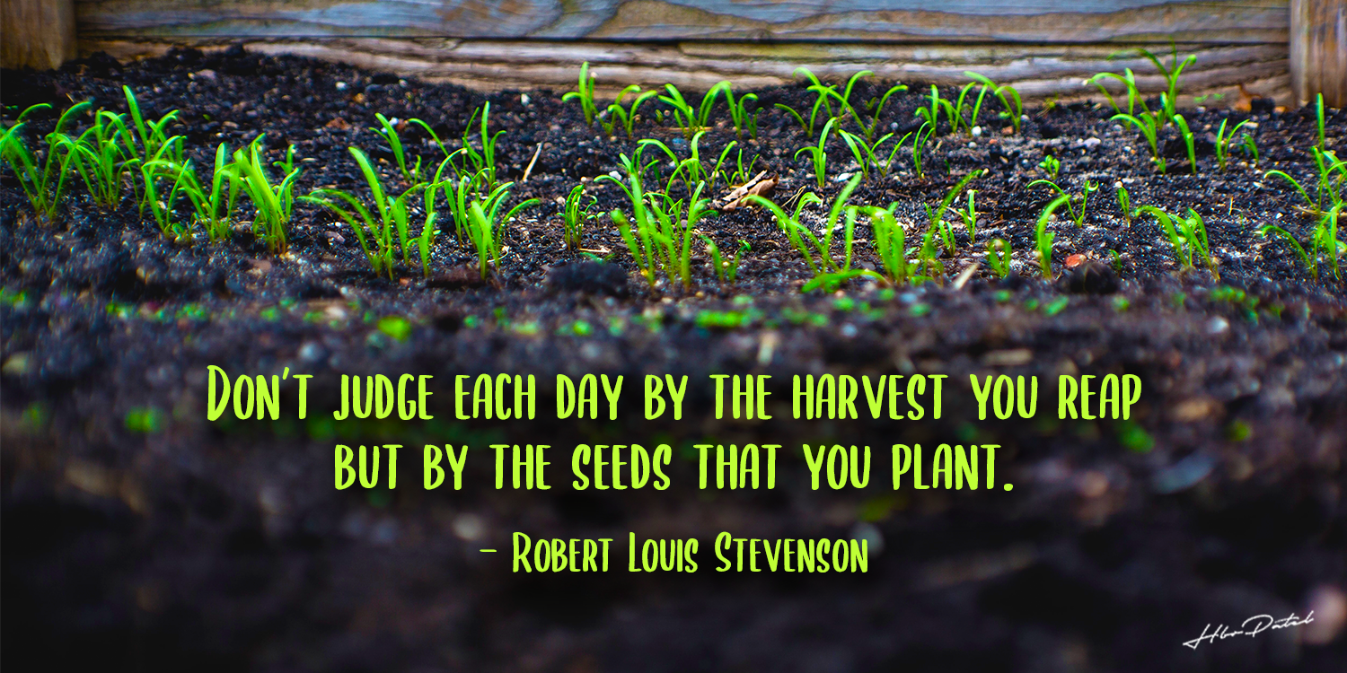 Don’t Judge everyday by the harvest you reap instead by the seeds that you plant