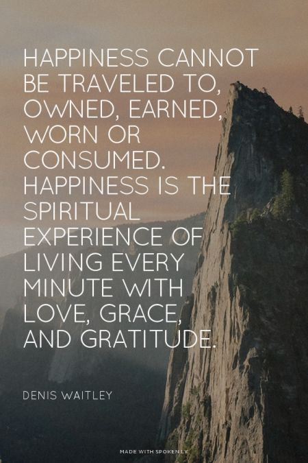 Happiness cannot be travelled to, owned, earned or worn. It should be the experience of living every minute and second with love, grace and gratitude