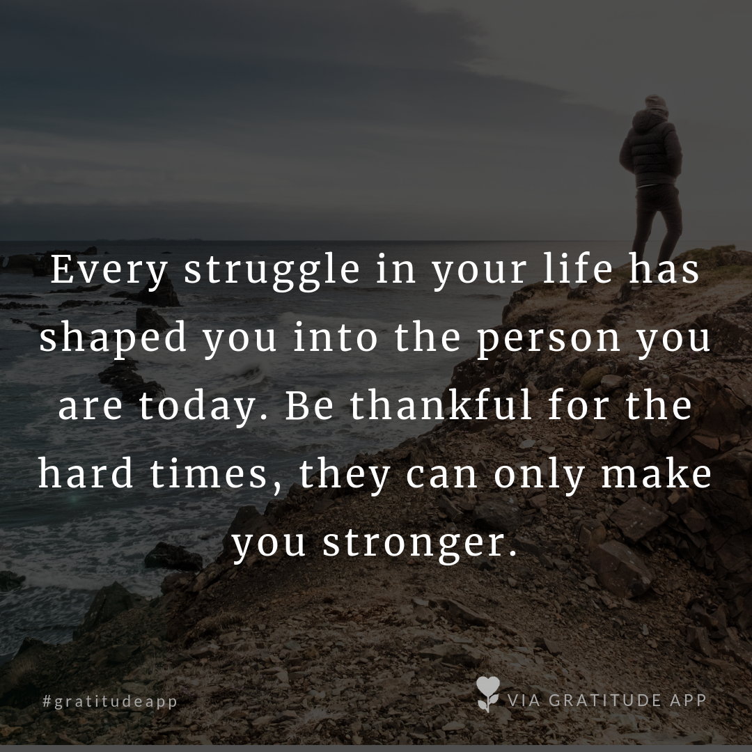 Every struggle you encounter would shaped you into the person you are today. Be thankful for the hard times; they can only make you stronger.